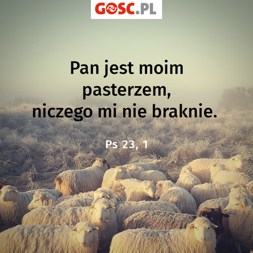 Psalmy na czas kwarantanny