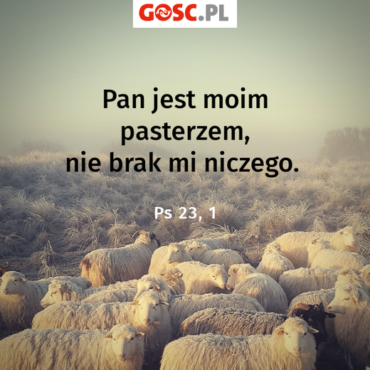 Psalmy na czas kwarantanny