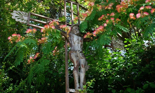 W czasie głodu eucharystycznego, przypomnijmy sobie jak wielką wartość ma ten sakrament