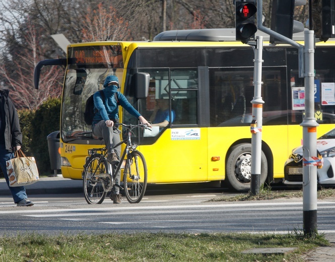 Piątek w obiektywie