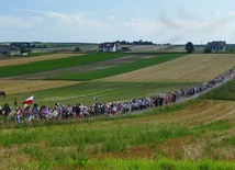 Dziewiętnastka idzie na Jasną Górę. Pielgrzymi już pokonali ponad 82 km