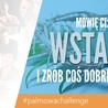 Ruszył #palmowachallenge dla młodych archidiecezji katowickiej!