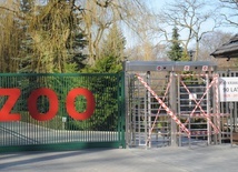 Kraków. Zoo w czasie epidemii