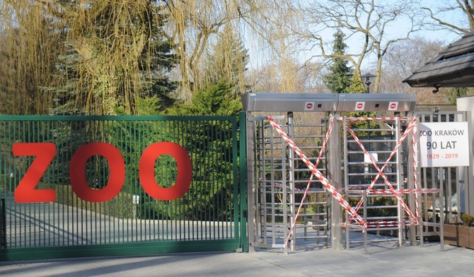 Kraków. Zoo w czasie epidemii