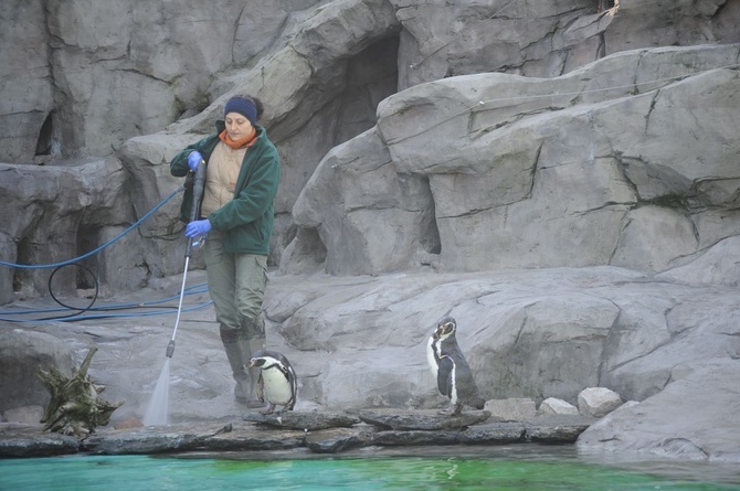 Krakowski Ogród Zoologiczny w czasie epidemii koronawirusa