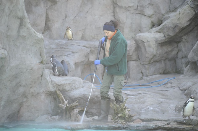 Krakowski Ogród Zoologiczny w czasie epidemii koronawirusa