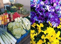 U lokalnych dostawców można zamówić zarówno warzywa, owoce, wędliny, jaja, miód, jak i kwiaty, palmy czy ozdoby świąteczne.