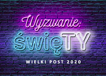 Wyzwanie święTY. Rozważania wokół adhortacji "Gaudete et exsultate"