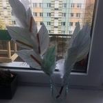 Palmy wielkanocne w naszych domach