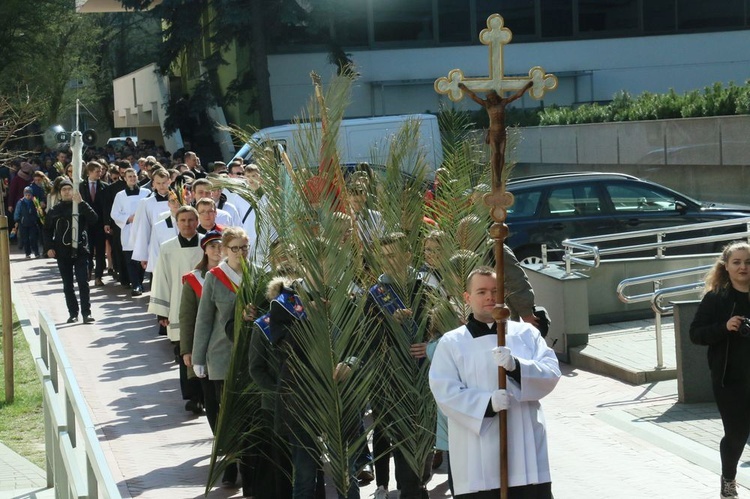 Niedziela Palmowa 2019