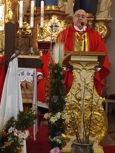 Niedziela Palmowa w Rokitnie