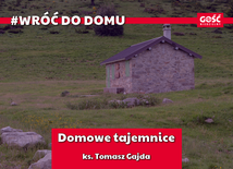 Odcinek 1. Domowe tajemnice