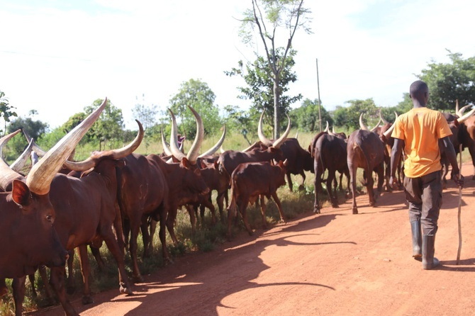 Tanzania, misje i zagrożenie koronawirusem