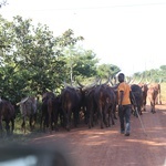 Tanzania, misje i zagrożenie koronawirusem