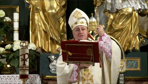 Liturgia Wigilii Paschalnej w konkatedrze w Żywcu - 2020