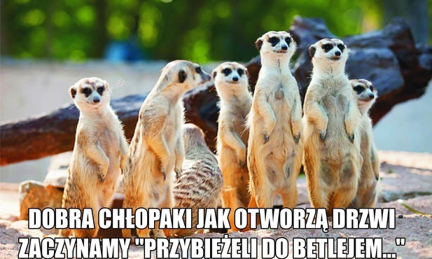 Archidiecezja. Ministranci fabryką memów