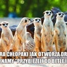 Archidiecezja. Ministranci fabryką memów