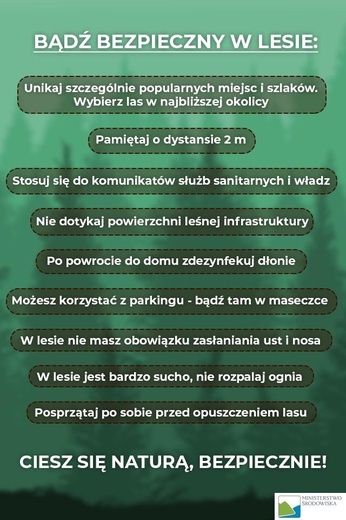 Od poniedziałku możemy odwiedzać lasy 