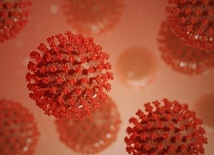Liczba osób zakażonych koronawirusem na świecie przekroczyła 2,5 mln