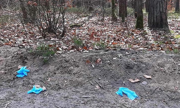 Każdy z nas sprząta las