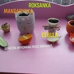 Dzień Ziemi w PSP Rusinów