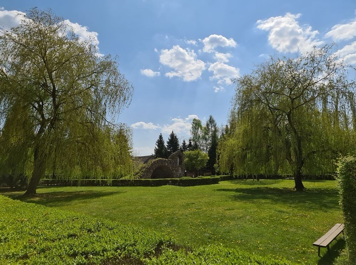 Rokitno na wiosnę