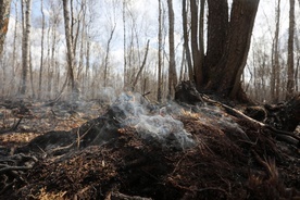 Biebrzański Park Narodowy: Około trzystu zrzutów wody wykonają śmigłowce