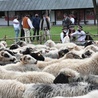 Święto Bacowskie. Wszystko jest w rękach Boga