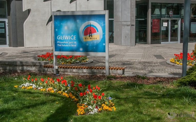 Z wirusem w Gliwicach - zdjęcia Zdzisława Dańca