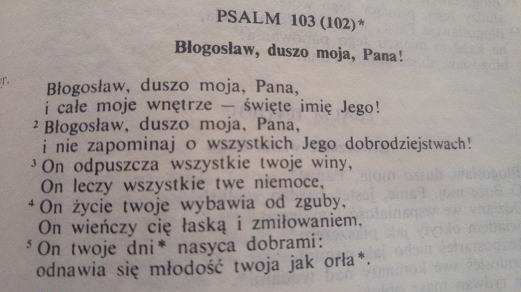 #Dajsłowo - finał naszej akcji biblijnej