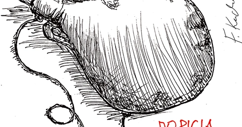 Ksiądz rozwalił gmach