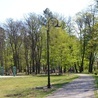 W maju zakończy się renowacja parku w Bojanowie.
