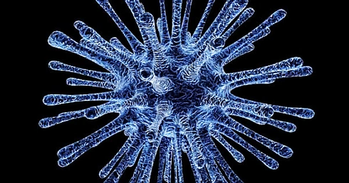 Minister zdrowia komentuje najnowsze statystyki pandemii