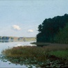 Na portalu Muzeum Narodowego można zobaczyć w dużym rozmiarze m.in. piękny obraz Stanisława Witkiewicza (1851–1915) „Jezioro z nenufarami”.