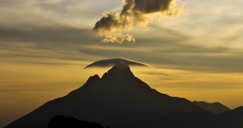 Masakra w Parku Wirunga