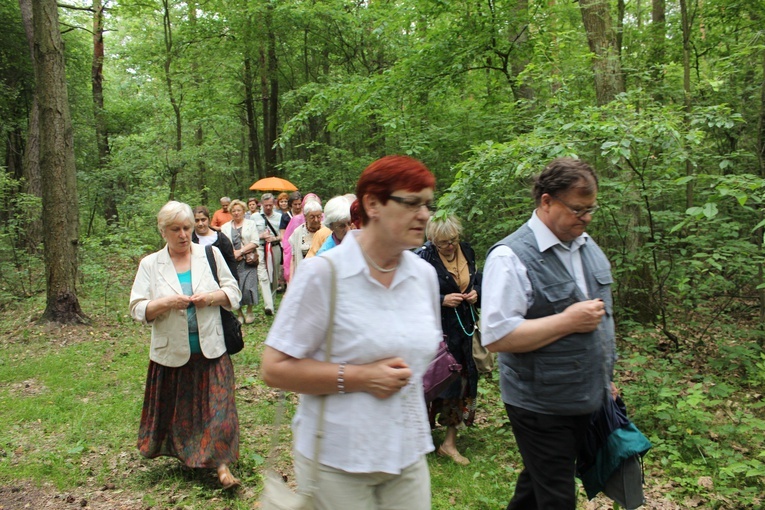 Wspomnienie Kazimierza Wierciocha