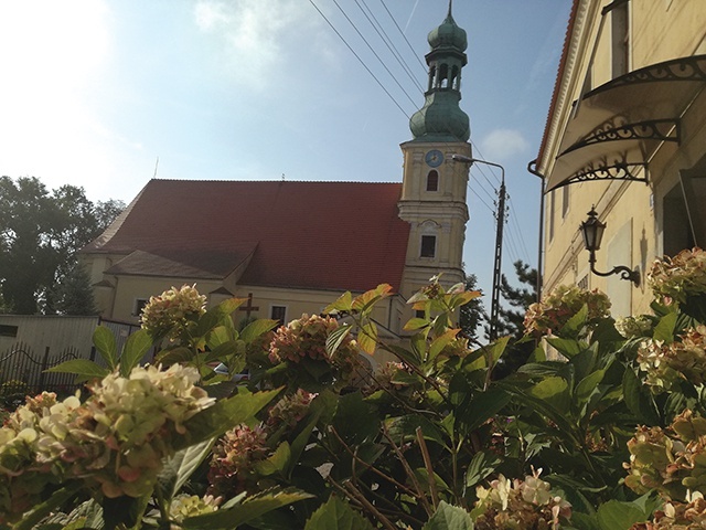 Z inicjatyw wirtualnych cieszy się proboszcz parafii. Ks. Tomasz Płukarski podkreśla, że najważniejsze jest budowanie wspólnoty. Jest przekonany, że po zniesieniu wszelkich ograniczeń, parafianie będą się jeszcze bardziej cieszyć z realnego spotkania w świątyni.