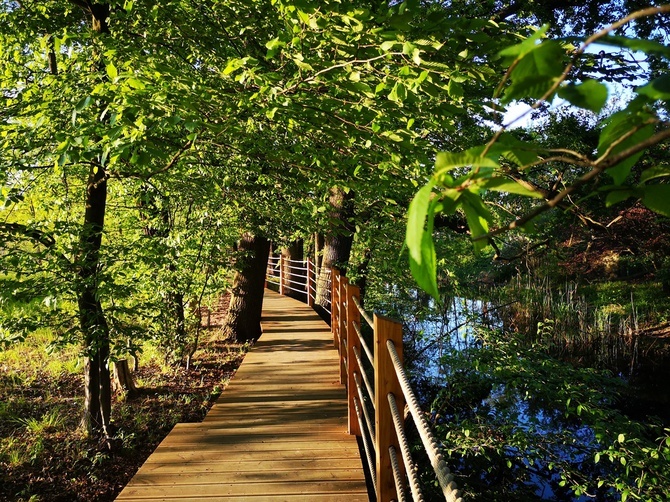 Swojczycki Park "Czarna Woda”