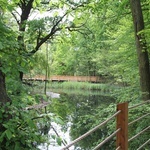 Swojczycki Park "Czarna Woda”