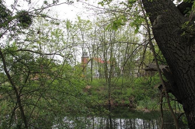 Swojczycki Park "Czarna Woda”