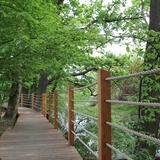 Swojczycki Park "Czarna Woda”