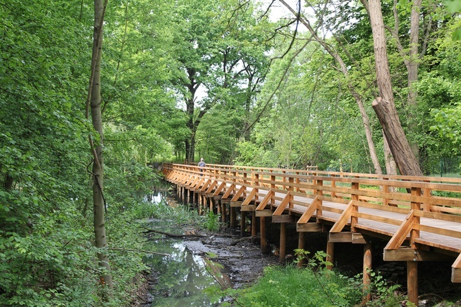 Swojczycki Park "Czarna Woda”