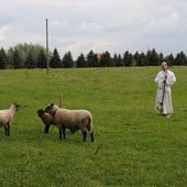 Nisko. Uczniowski projekt "Nie lękajcie się"