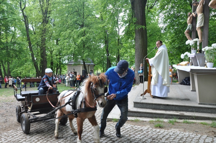 Pielgrzymka miłośników koni na Górę Świętej Anny