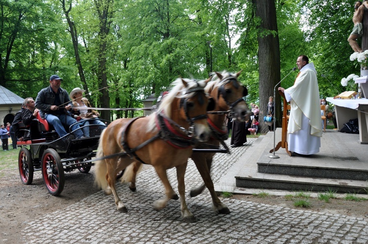 Pielgrzymka miłośników koni na Górę Świętej Anny