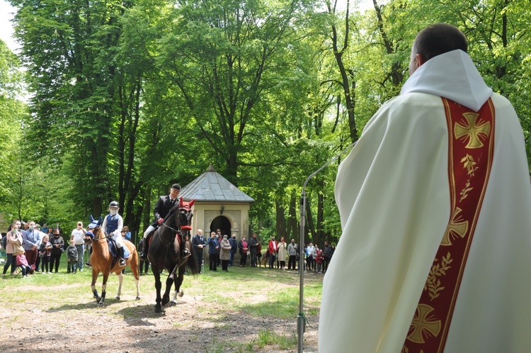 Pielgrzymka miłośników koni na Górę Świętej Anny