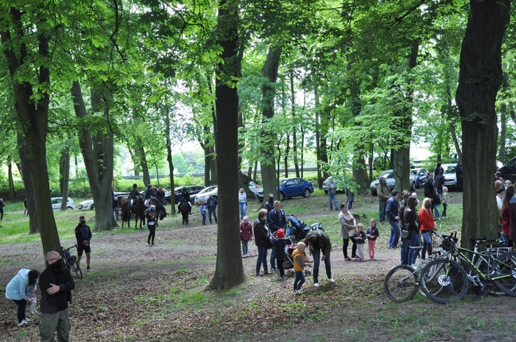 Pielgrzymka miłośników koni na Górę Świętej Anny