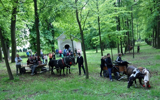 Pielgrzymka miłośników koni na Górę Świętej Anny