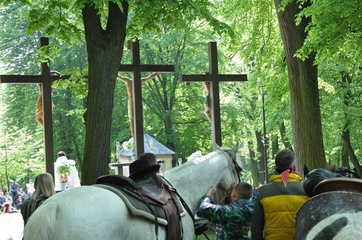 Pielgrzymka miłośników koni na Górę Świętej Anny