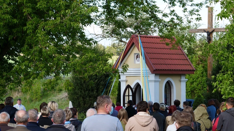 Urodziny świętego zakonnika